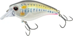 Nomad Design Atlas Squarebill Crankbait -Fishing Sports Shop 39840471973977