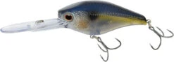 Nomad Design D-Trak Freshwater Extra Deep Diving Crankbait -Fishing Sports Shop 39840486424665