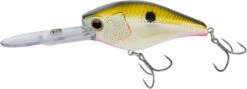 Nomad Design D-Trak Freshwater Extra Deep Diving Crankbait -Fishing Sports Shop 39840486621273