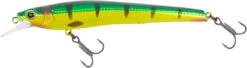 Nomad Design Shikari Freshwater Jerkbait 24 Nomad Design Shikari Freshwater Jerkbait -Fishing Sports Shop 39840502841433