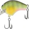 Shimano Macbeth 50F Hybrid Square Bill Crankbait -Fishing Sports Shop 40094938038361