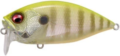 Megabass O.R.C. Over Rev Crank JDM Waking Crankbait -Fishing Sports Shop 40204979208281