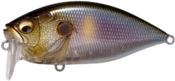 Megabass O.R.C. Over Rev Crank JDM Waking Crankbait -Fishing Sports Shop 40204979339353