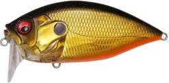Megabass O.R.C. Over Rev Concept Burning Shad JDM Waking Crankbait 18 Megabass O.R.C. Over Rev Concept Burning Shad JDM Waking Crankbait -Fishing Sports Shop 40205146488921