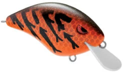 SPRO Speed Demon 55 Crankbait 14 SPRO Speed Demon 55 Crankbait -Fishing Sports Shop 40302758133849