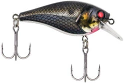 Berkley SquareBull 2 Inch Shallow Squarebill Crankbait 19 Berkley SquareBull 2 Inch Shallow Squarebill Crankbait -Fishing Sports Shop 40319505465433