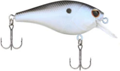 Berkley SquareBull 2 Inch Shallow Squarebill Crankbait 21 Berkley SquareBull 2 Inch Shallow Squarebill Crankbait -Fishing Sports Shop 40319505530969