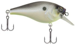 Berkley SquareBull 2 Inch Shallow Squarebill Crankbait 22 Berkley SquareBull 2 Inch Shallow Squarebill Crankbait -Fishing Sports Shop 40319505563737