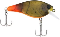 Berkley SquareBull 2 Inch Shallow Squarebill Crankbait 23 Berkley SquareBull 2 Inch Shallow Squarebill Crankbait -Fishing Sports Shop 40319505596505