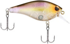 Berkley SquareBull 2 Inch Shallow Squarebill Crankbait 24 Berkley SquareBull 2 Inch Shallow Squarebill Crankbait -Fishing Sports Shop 40319505629273