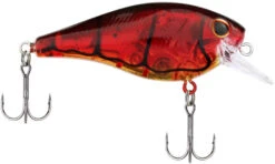Berkley SquareBull 2 Inch Shallow Squarebill Crankbait 25 Berkley SquareBull 2 Inch Shallow Squarebill Crankbait -Fishing Sports Shop 40319505662041