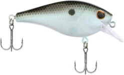 Berkley SquareBull 2 Inch Shallow Squarebill Crankbait 27 Berkley SquareBull 2 Inch Shallow Squarebill Crankbait -Fishing Sports Shop 40319505727577