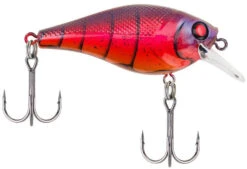 Berkley SquareBull 2 Inch Shallow Squarebill Crankbait 29 Berkley SquareBull 2 Inch Shallow Squarebill Crankbait -Fishing Sports Shop 40319505793113