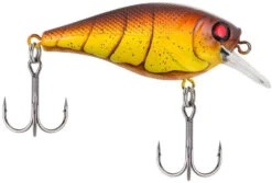 Berkley SquareBull 2 Inch Shallow Squarebill Crankbait 30 Berkley SquareBull 2 Inch Shallow Squarebill Crankbait -Fishing Sports Shop 40319505825881