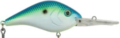 Fishing Sports Shop -Fishing Sports Shop 40325002690649