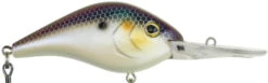 Berkley Dredger Deep Diving Crankbait Deeper Diving Models -Fishing Sports Shop 40325002985561