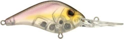 Berkley Dredger Deep Diving Crankbait Deeper Diving Models -Fishing Sports Shop 40325003247705