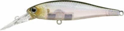 Lucky Craft Pointer 100DD 4 Inch Deep Diving Suspending Jerkbait 15 Lucky Craft Pointer 100DD 4 Inch Deep Diving Suspending Jerkbait -Fishing Sports Shop 8191205834807 b07633b9 a102 4382 b7ab e25e98580bdd