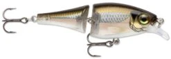 Rapala Balsa Xtreme Jointed Shad 06 Medium Diving Crankbait -Fishing Sports Shop 8239615737911