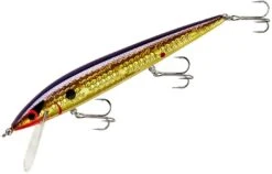 Smithwick Elite 8 Rogue 4 1/2 Inch Suspending Jerkbait 17 Smithwick Elite 8 Rogue 4 1/2 Inch Suspending Jerkbait -Fishing Sports Shop ADR4213