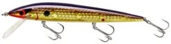 Smithwick Elite 8 Rogue 4 1/2 Inch Suspending Jerkbait 19 Smithwick Elite 8 Rogue 4 1/2 Inch Suspending Jerkbait -Fishing Sports Shop ADR4213 427dcaa6 8bc9 4645 9527 5e6203b63ad1