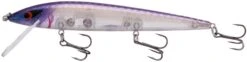 Smithwick Elite 8 Rogue 4 1/2 Inch Suspending Jerkbait 18 Smithwick Elite 8 Rogue 4 1/2 Inch Suspending Jerkbait -Fishing Sports Shop ADR4279