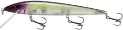 Smithwick Elite 8 Rogue 4 1/2 Inch Suspending Jerkbait 16 Smithwick Elite 8 Rogue 4 1/2 Inch Suspending Jerkbait -Fishing Sports Shop ADR4282