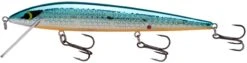 Smithwick Elite 8 Rogue 4 1/2 Inch Suspending Jerkbait 13 Smithwick Elite 8 Rogue 4 1/2 Inch Suspending Jerkbait -Fishing Sports Shop ADR432OB