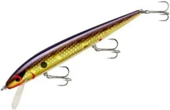 Smithwick Perfect 10 Rogue 5 1/2 Inch Deep Diving Suspending Jerkbait 39 Smithwick Perfect 10 Rogue 5 1/2 Inch Deep Diving Suspending Jerkbait -Fishing Sports Shop ADR5213