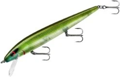 Smithwick Perfect 10 Rogue 5 1/2 Inch Deep Diving Suspending Jerkbait 26 Smithwick Perfect 10 Rogue 5 1/2 Inch Deep Diving Suspending Jerkbait -Fishing Sports Shop ADR5281
