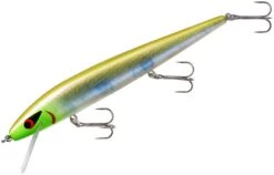 Smithwick Perfect 10 Rogue 5 1/2 Inch Deep Diving Suspending Jerkbait 30 Smithwick Perfect 10 Rogue 5 1/2 Inch Deep Diving Suspending Jerkbait -Fishing Sports Shop ADR5283