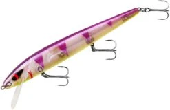 Smithwick Perfect 10 Rogue 5 1/2 Inch Deep Diving Suspending Jerkbait 36 Smithwick Perfect 10 Rogue 5 1/2 Inch Deep Diving Suspending Jerkbait -Fishing Sports Shop ADR5289