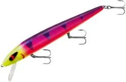 Smithwick Perfect 10 Rogue 5 1/2 Inch Deep Diving Suspending Jerkbait 33 Smithwick Perfect 10 Rogue 5 1/2 Inch Deep Diving Suspending Jerkbait -Fishing Sports Shop ADR5291