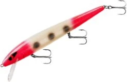 Smithwick Perfect 10 Rogue 5 1/2 Inch Deep Diving Suspending Jerkbait 27 Smithwick Perfect 10 Rogue 5 1/2 Inch Deep Diving Suspending Jerkbait -Fishing Sports Shop ADR5293