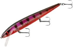 Smithwick Perfect 10 Rogue 5 1/2 Inch Deep Diving Suspending Jerkbait 28 Smithwick Perfect 10 Rogue 5 1/2 Inch Deep Diving Suspending Jerkbait -Fishing Sports Shop ADR5294