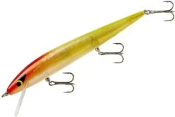 Smithwick Perfect 10 Rogue 5 1/2 Inch Deep Diving Suspending Jerkbait 25 Smithwick Perfect 10 Rogue 5 1/2 Inch Deep Diving Suspending Jerkbait -Fishing Sports Shop ADR5298