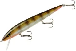 Smithwick Perfect 10 Rogue 5 1/2 Inch Deep Diving Suspending Jerkbait 32 Smithwick Perfect 10 Rogue 5 1/2 Inch Deep Diving Suspending Jerkbait -Fishing Sports Shop ADR5303