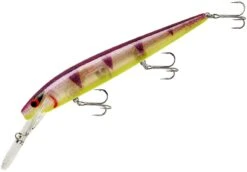 Smithwick Top 20 Rogue 5 1/2 Inch Extra Deep Diving Trolling Minnow/Jerkbait -Fishing Sports Shop ADRD5289