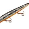 Smithwick Suspending Super Rogue 5 Inch Jerkbait -Fishing Sports Shop ASDRD1231OB