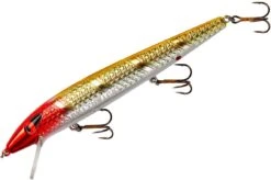 Smithwick Suspending Super Rogue 5 Inch Jerkbait -Fishing Sports Shop ASDRD1235
