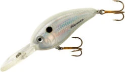 Bomber Fat Free Shad Jr. 2 1/2 Inch Deep Diving Crankbait 16 Bomber Fat Free Shad Jr. 2 1/2 Inch Deep Diving Crankbait -Fishing Sports Shop BD6FDPW