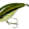 Bandit 100 Series Shallow Diving Crankbait -Fishing Sports Shop BDT101