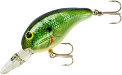Bandit 200 Series Medium Diving Crankbait -Fishing Sports Shop BDT2B38
