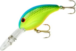 Bandit 300 Series Deep Diving Crankbait -Fishing Sports Shop BDT336