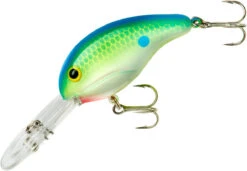 Bandit 300 Series Deep Diving Crankbait -Fishing Sports Shop BDT3D01
