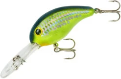 Bandit 300 Series Deep Diving Crankbait -Fishing Sports Shop BDT3D66