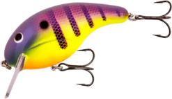 Bandit Rackit 2 3/4 Inch Squarebill Crankbait 24 Bandit Rackit 2 3/4 Inch Squarebill Crankbait -Fishing Sports Shop BDTRK3D73