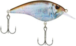 Berkley Frittside Shallow Diving Flat Sided Crankbait 30 Berkley Frittside Shallow Diving Flat Sided Crankbait -Fishing Sports Shop Berkley Frittside HDBluebackHerring 5Biggun alt2 2000
