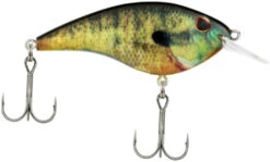 Berkley Frittside Shallow Diving Flat Sided Crankbait 31 Berkley Frittside Shallow Diving Flat Sided Crankbait -Fishing Sports Shop Berkley Frittside HDBluegill 5Biggun alt2 2000