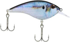 Berkley Frittside Shallow Diving Flat Sided Crankbait 34 Berkley Frittside Shallow Diving Flat Sided Crankbait -Fishing Sports Shop Berkley Frittside HDThreadfinShad 5Biggun alt2 2000